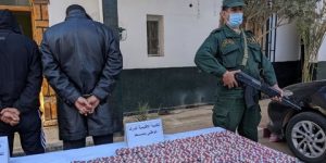 درك معالمة يحجز 800 قرص مهلوس