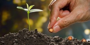 منبر الدعاة.. التوكل في القرآن والسنة