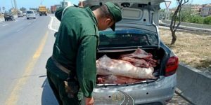 إيقاف سائق ينقل اللحوم الحمراء بمركبة غير مهيئة بسيدي موسى