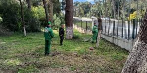 إعادة تهيئة 5 غابات حضرية للراحة والترفيه بالعاصمة