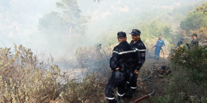 خلفت خسائر فادحة في الأرواح والممتلكات.. إخماد كل حرائق الغابات