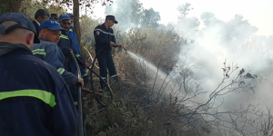 عمليات إخماد حرائق الغابات متواصلة بعدة ولايات بوسط وشرق البلاد