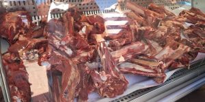 وصول 2500 رأس من العجول البرازيلية موجهة للذبح في رمضان