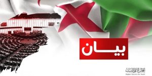 المجلس الأعلى للشباب يؤكد: تحامل البرلمان الأوروبي على الجزائر لن يزيدها إلا تماسكا وقوة