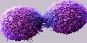 جديد الطب.. نمط حياة الوالدين قد يضر نفسياً بالأطفال