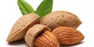 صحتنا في غذائنا.. فوائد اللوز الصحية