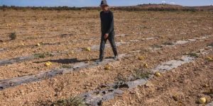 الأمن الغذائي بالمغرب في الخانة الحمراء