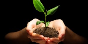 الخيرية في حياة المسلم