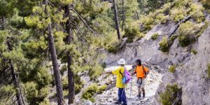 تدابير استباقية لتشجيع السياحة الجبلية بأعالي الشريعة