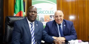 منظمة التأمين الإفريقية : الأولوية للتعاون و ترقية التأمين الفلاحي