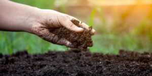 سنريهم آياتنا في الآفاق.. منها خلقناكم وفيها نعيدكم