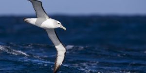 سنريهم آياتنا في الآفاق.. بديع خلق الله