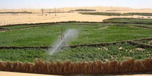 جانت: منح 15 رخصة حفر الآبار لفلاحين ومتعاملين تجاريين منذ مطلع 2024