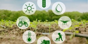 مشروع تعاون جزائري-هولندي في مجال الزراعة الذكية