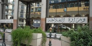 الجزائرتتخذ كل التدابير لمنع دخول مرض النزف الوبائي للماشية من فرنسا