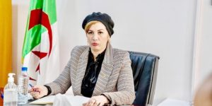 دراسة لإعادة هيكلة المهرجانات المحلّية للفنون والثقافات الشعبية