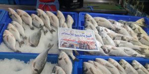 تصدير قرابة 1500 طن من المنتجات الصيدية بوهران