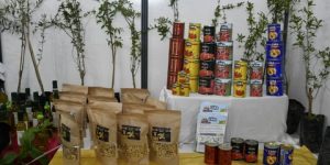 قسنطينة: افتتاح الطبعة الأولى للمعرض الدولي النوميدي للفلاحة