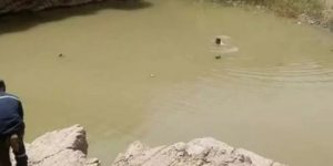 ميلة: وفاة طفل بعد إخراجه من بركة بشلغوم العيد