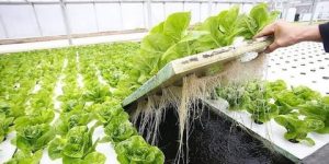 تكوين مرتقب في نظام الأكوابونيك بوهران