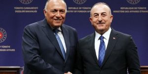 وزير الخارجية المصري في أنقرة
