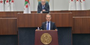 وزير الفلاحة يعرض مشروع القانون المتعلق بالغابات والثروات الغابية