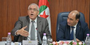 طبي يعرض مشروع قانون حماية أراضي الدولة أمام اللجنة المختصة بالبرلمان