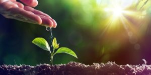 سؤال وجواب.. ما الإحسان ؟