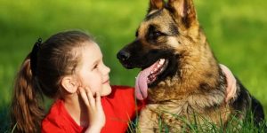 سنريهم آياتنا في الآفاق.. لعاب الكلب قد يكون قاتلا