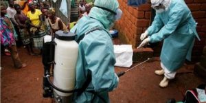 غانا تؤكد تفشي مرض “الجمرة الخبيثة” في منطقتين شمالي البلاد