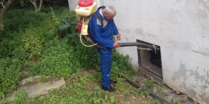 استئناف عمليات التنظيف والقضاء على القوارض ببني مسوس 