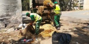 حملات تحسيسية في كيفية التعامل مع نفايات عيد الاضحى بالعاصمة