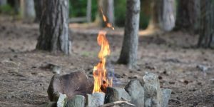 منع تنقل الأفراد والمركبات وإقامة موائد الشواء داخل المساحات الغابية بتبسة