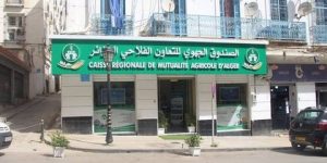 تعويض المتعاضدين بعد 72 ساعة من إستلام محاضر الخبرة