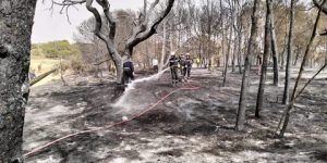 إخماد كلي لحريق نشب في غابة عين البرد بسيدي بلعباس