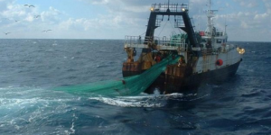 إتفاق الصيد البحري : الإتحاد الأوروبي مدعو لاحترام قرار جبهة البوليساريو