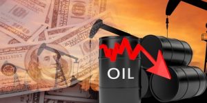 إنخفاض أسعار النفط مع توقعات رفع الفائدة الأميركية والأوروبية