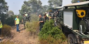 الفدرالية الوطنية لعمال الغابات تدعو لإتخاذ إجراءات ميدانية وإستباقية لحماية الثروة الوطنية الغابية