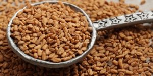 صحتنا في غذائنا.. الحلبة لعلاج الجسم وتقويته