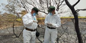 توقيف 7 مشبوهين وراء حرائق الغابات في بجاية وسكيكدة