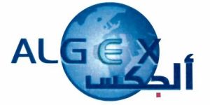 “ألجكس”.. تأجيل الطبعة الأولى للصالون الإفريقي الأول لترقية الدول المصدرة