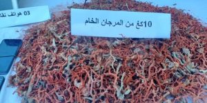حجز 10 كلغ من مادة المرجان الخام بعنابة
