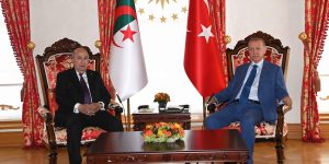 رئيس الجمهورية يجري محادثات موسعة بإسطنبول مع نظيره التركي
