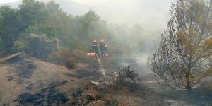 البويرة: اخماد حريق قرية الثعالبة بمنطقة الزبربر