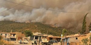 الحكومة تستعرض التدابير الاحترازية لحماية الأشخاص والممتلكات من مخاطر حرائق الغابات