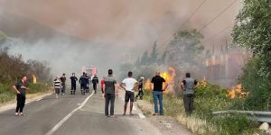 وزارة الفلاحة تدعو المواطنين إلى تفادي دخول الغابات