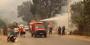 جيجل: محافظة الغابات تعلن التحكّم في الحرائق