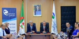 اتفاقية شراكة بين اتصالات الجزائر و”كاتل فيبروبتيك” لتصنيع وتوريد كوابل الألياف البصرية