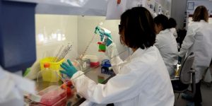 من أجل إبقاء بعض السرطانات في حالة خمول.. الخبراء يخططون لاستراتيجية علاجية جديدة