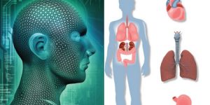 قصبة هوائية “بيوصناعية” لمريض مصاب بالسرطان